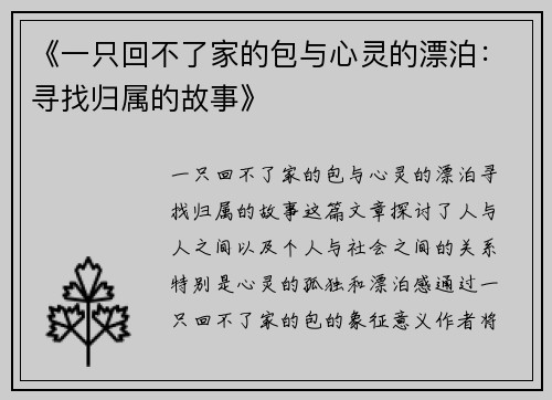 《一只回不了家的包与心灵的漂泊：寻找归属的故事》