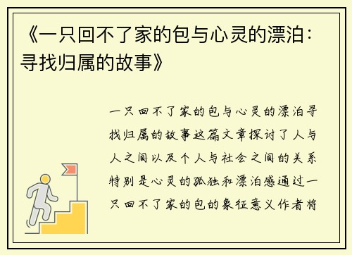 《一只回不了家的包与心灵的漂泊：寻找归属的故事》