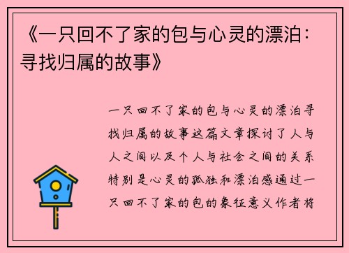 《一只回不了家的包与心灵的漂泊：寻找归属的故事》