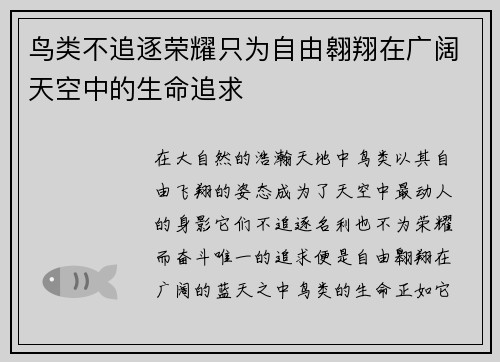 鸟类不追逐荣耀只为自由翱翔在广阔天空中的生命追求